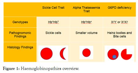 A Case of Concurrent Sickle Cell Trait, Alpha Thalassemia, and G6