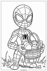 Spiderman Coloring Sheet Free Pdf  Infoupdateorg sketch template