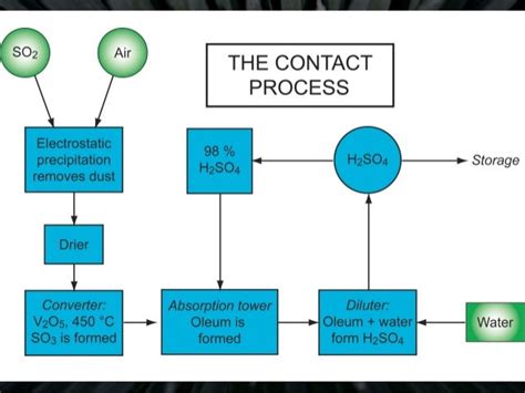 Contact Process