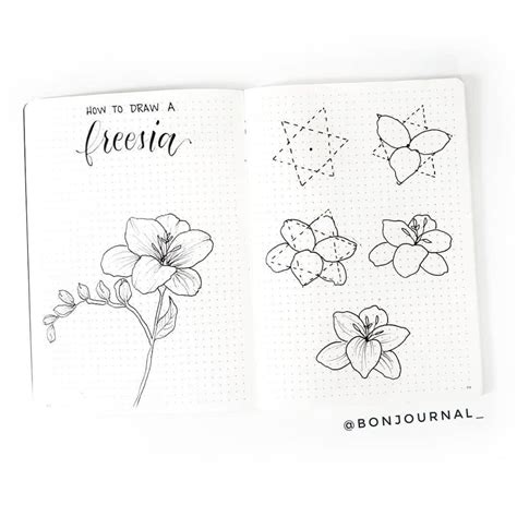 Bullet journal flower doodles - lovault