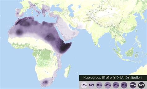 Speculative map of E1b1b1 (M35) and its subclades | Genoplot