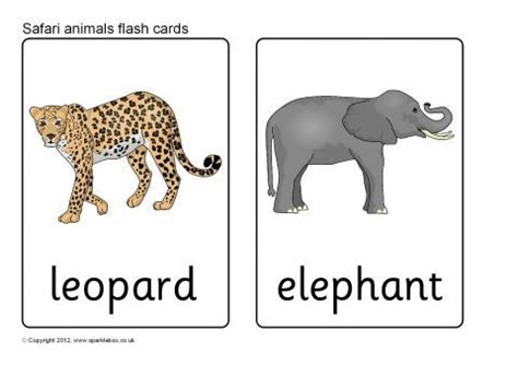 Safari Animal Flash Cards