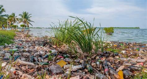 Lake Maracaibo: an oil development sacrifice zone dying from neglect