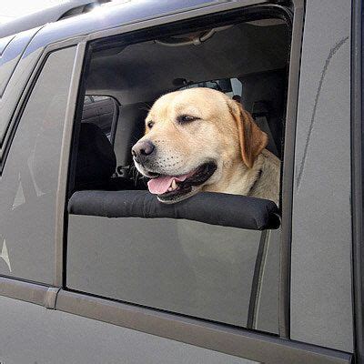 puprwear car window bumper | Dogs, Pets, Dog accessories