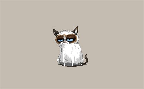 cat, Minimalism, Grumpy Cat Wallpapers HD / Desktop and Mobile Backgrounds