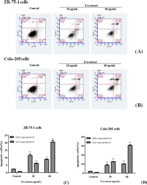 Apoptosis as detected using flow cytometry. A: effects of the EA... | Download Scientific Diagram