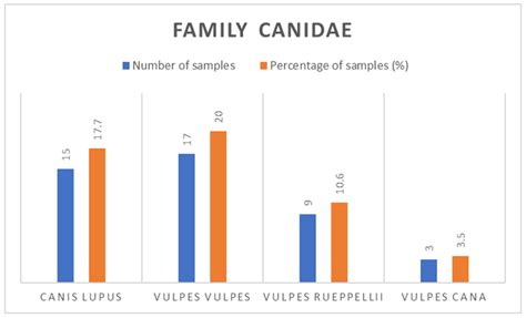 Number and percentage of family Canidae species were collected during... | Download Scientific ...