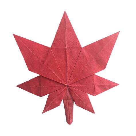 Fold An Origami Maple Leaf for Canada's Birthday! - Origami Expressions