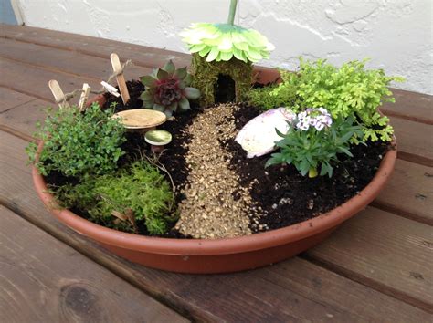 Fairy Garden Plants