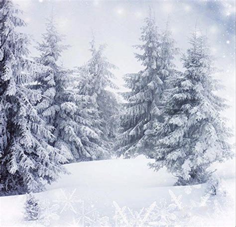 Snow Backdrop | Arka plan fonlar, Manzara, Fotoğraf