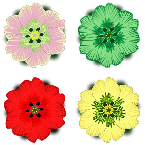 Four flowers of different colors clipart. Free download transparent .PNG | Creazilla