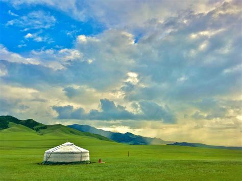 The Mongolian Steppe—A Threatened Ecosystem