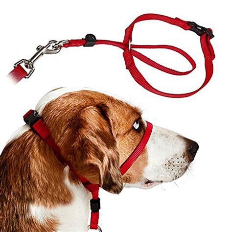 ihoming Dog Walking Training Leash with Head Collar Easy Fit Dog Mouth Muzzle Halter Control ...