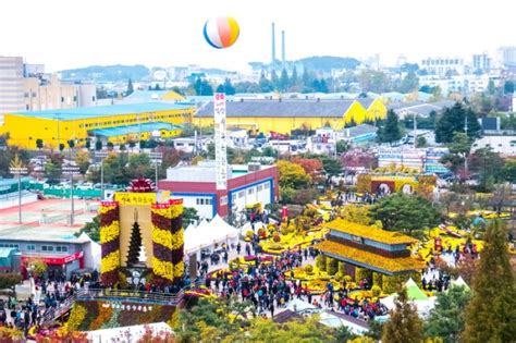 Iksan Ten Million Chrysanthemum Festival | 익산천만송이국화축제 : TRIPPOSE