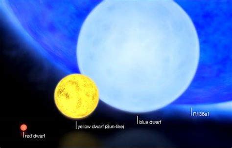 R136a1: The Most Massive and Luminous Blue Hypergiant Star