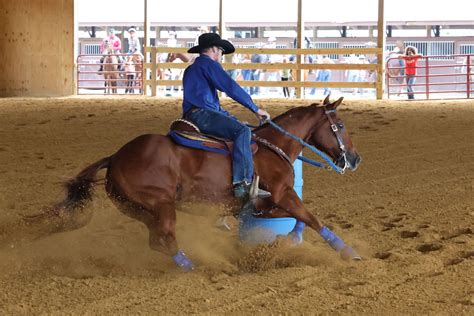 Horse Show Photography