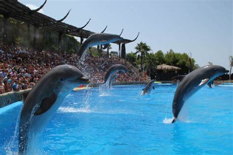 Mundomar Animal Park - Excursiones Benidorm - Benidorm Excursions