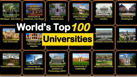 Top 100 World University Rankings 2024 - Livia Queenie