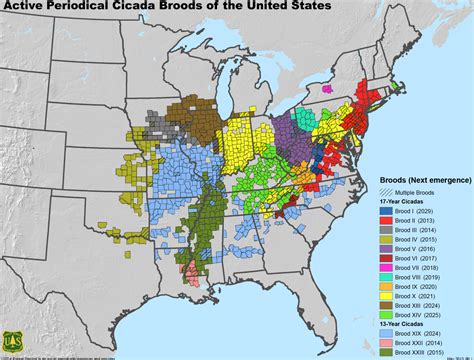 Cicada Habitat Map