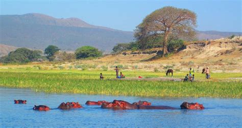 Viajero Turismo: Hoy vistamos la ciudad de Awassa en Etiopía