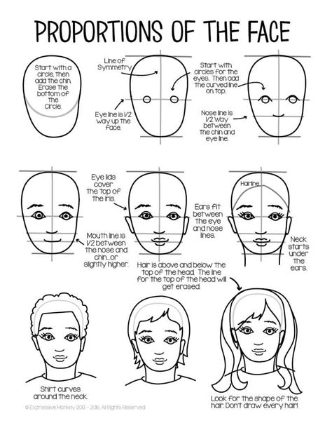 Facial Proportions Drawing Handout