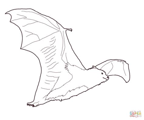 Fruit bat coloring page | Free Printable Coloring Pages