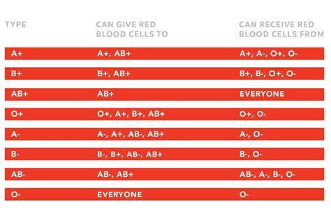 What Everyone Should Know About Blood and Blood Donation - HealthScopeHealthScope