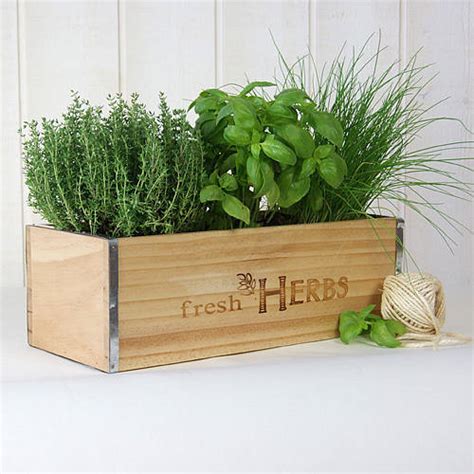 'fresh herbs' window box in natural wood by plant theatre | notonthehighstreet.com