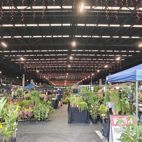 Rocklea Flower Markets Sunday | Best Flower Site