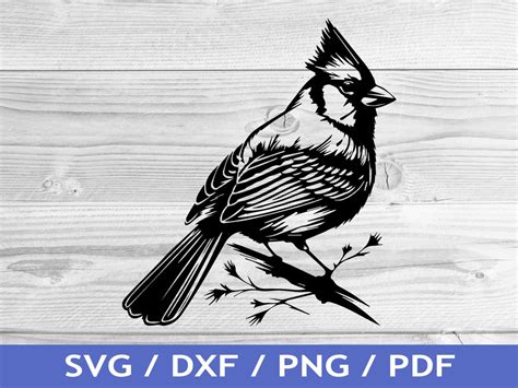 Cardinal SVG Cut Out / Cardinal Cricut Design / Bird Vector / Laser ...