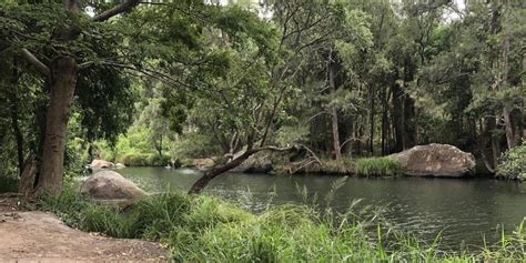 What Makes Lake Moogerah The Gorge So Special?