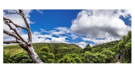 Pouakai and Pukeiti New Zealand mountain images and information - occasionalclimber.co.nz