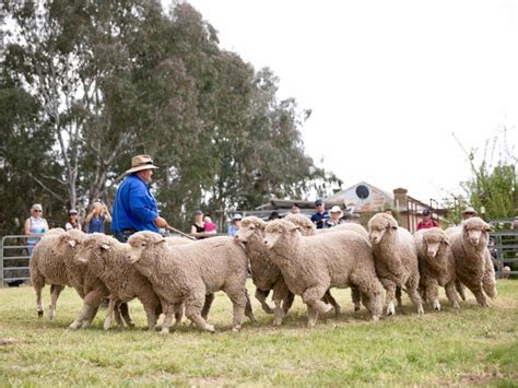 23rd Boorowa Irish Woolfest celebrated in Australia