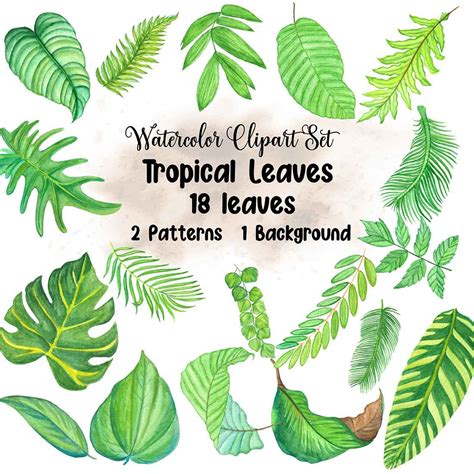 Watercolor Tropical Leaves Set - MasterBundles