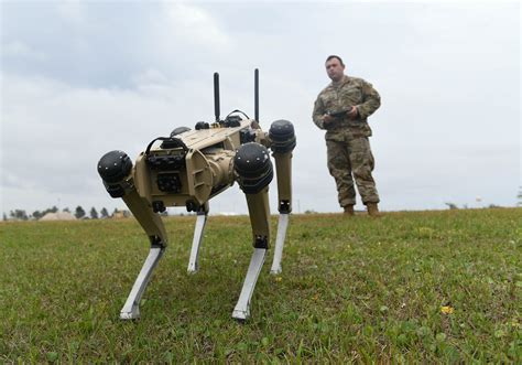 Robot Dogs to Have Their Day — on Florida Base – The Diplomat