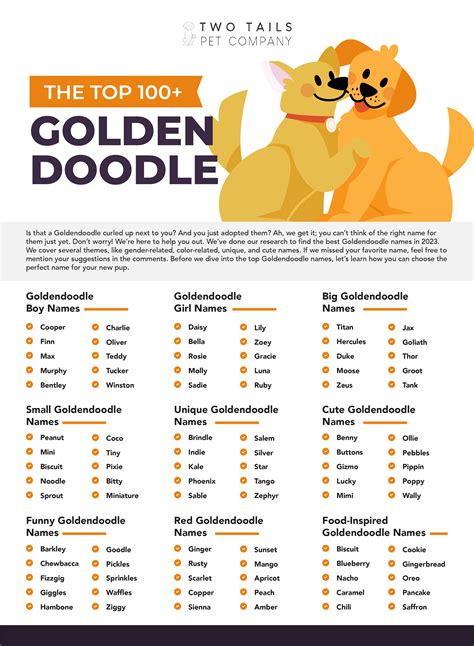 The Top 100+ Goldendoodle Names in 2024 – Two Tails Pet Company