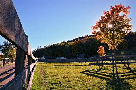 How to Enjoy Upstate New York During Fall - Coveteur