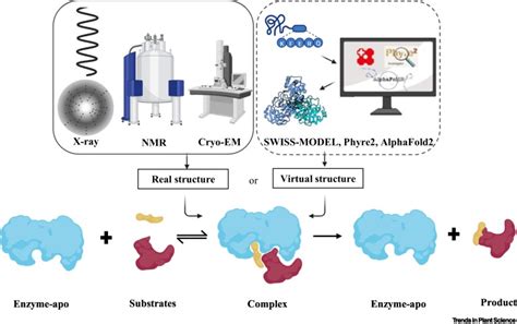 Structure-driven protein engineering for production of valuable natural products: Trends in ...