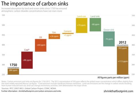 Global Carbon Emissions and Sinks Since 1750 - Shrink That Footprint