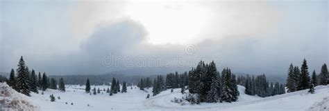 Panorama of the Igman Mountain Stock Photo - Image of country, landmark: 112344112