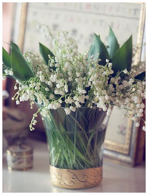 Lily of the Valley | Composition florale, Arrangements de vase, Vases ...