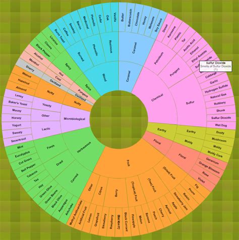 javascript - Placing Image in the Center of a Sunburst Chart with D3.js - Stack Overflow