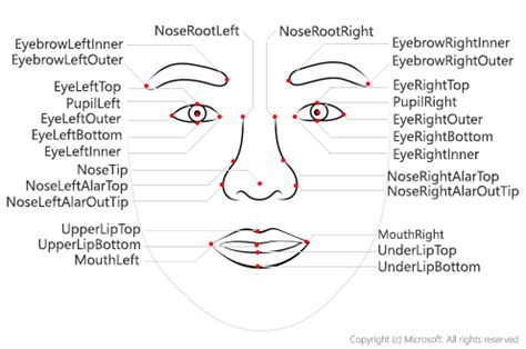 Facial recognition 人臉辨識 | Data platform & Analytics - 點部落