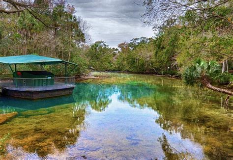 Homosassa Springs State Wildlife Park - Florida RV Trade AssociationFlorida RV Trade Association