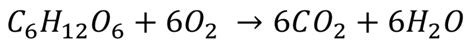 Aerobic Respiration - Key Stage Wiki