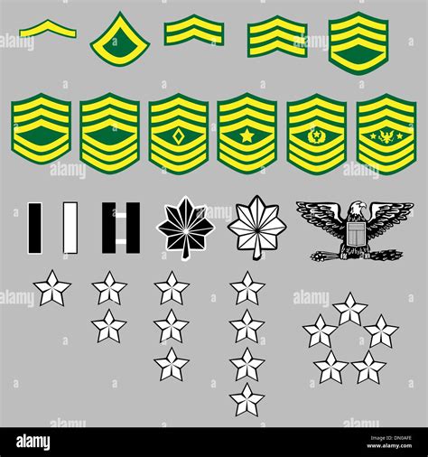 Us Military Insignia Images - Military Pictures