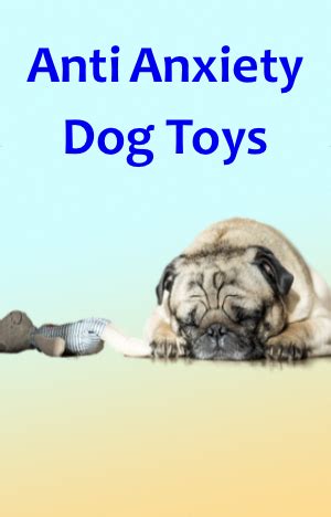 Anti Anxiety Dog Toys | Pet Dogs Life