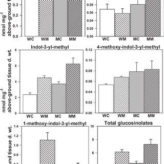 Myrosinase activity in control and M . brassicae -challenged seedlings... | Download Scientific ...