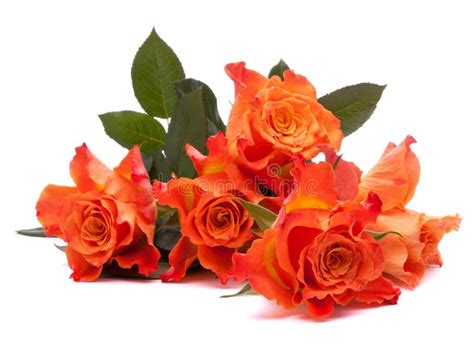 Orange Rose Bouquet in Vase Stock Photo - Image of color, beautiful ...