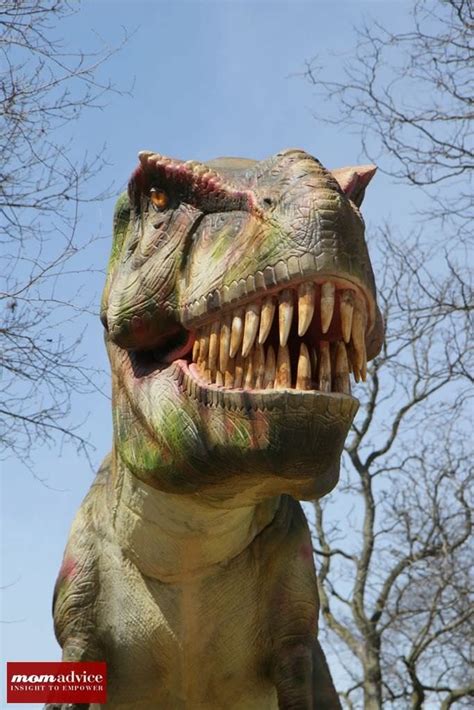 Dinosaurs Alive! Exhibit at Brookfield Zoo - MomAdvice